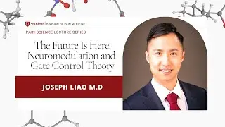 The Future is Here: Neuromodulation and Gate Control Theory | Joseph Liao M.D