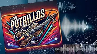 Éxitos en Audio Los Potrillos de Turicato - Se me hizo vicio