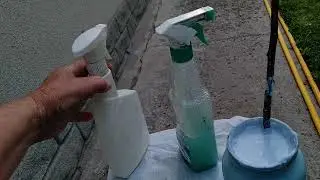 Treating Gummosis on Peach Trees