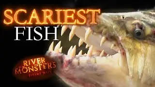 Scariest Fish | River Monsters