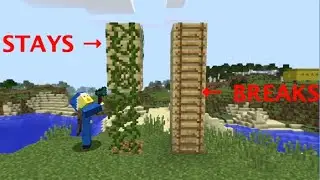 10 Minecraft Inconsistencies that Make Zero Sense