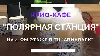 Крио-лимонад и крио-мороженое, когда захотелось ощутить дыхание полюса