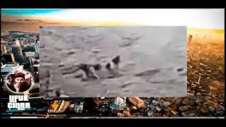 Sokağa bırakılan yavru kedi yavruları köpeklerin saldırısına uğradı