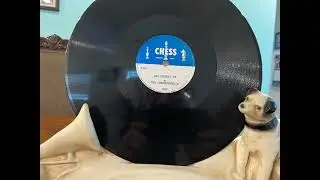 CHESTERFIELDS on CHESS, rare doo wop 78