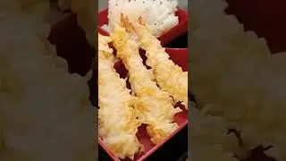 Tempura and Katsudon