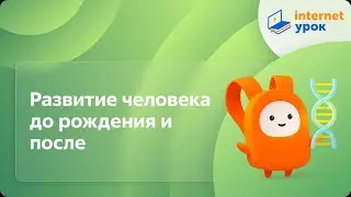 Развитие человека до рождения и после. Видеоурок по биологии 8 класс