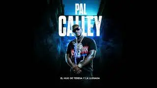 El Hijo de Teresa y la Llegada - Pal Calley 2024