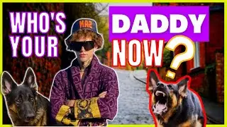 This Aggressive Dog Needed The Dog Daddy And She Got It.