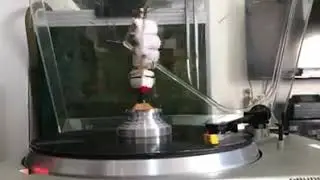 Mazhar Fuat Özkan/ Best Of Mfö LP, Plak