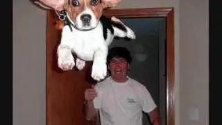 Perfectly Timed Photos