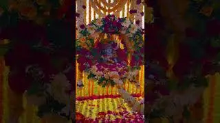 chotasa kanhaiya ,mera palne main jhule re #shortsvideo #ytshortsvideo #viralvideo