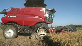 Caseih 6150 raccolta riso