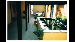 How I Built My Dream Koi Pond