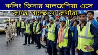 কলিং ভিসায় মালয়েশিয়া এসে কাজ পাচ্ছে না কর্মীরা | Malaysia Calling Visa Update Khobor