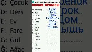 Турецкий язык