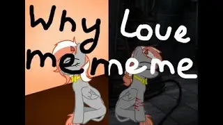 Пони меме Why Love Me