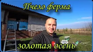 Пчело ферма. Золотая осень.