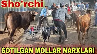 SHO'RCHI MOLBOZORIDAN SOTILGAN VA QAYTGAN MOLLAR NARXLARI 08.09.2024