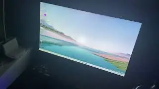 wtf