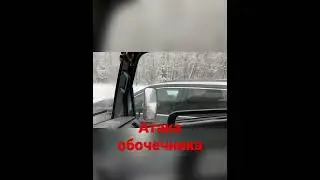 Нападение обочечника )))