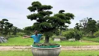 Hiểu được văn hóa này Công việc thuận lợi thăng tiến