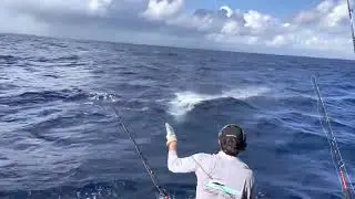 Let’s Go Fishing @LadyPamelaIIFortLauderdale  954-761-8045
