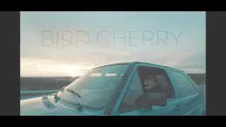 hава торышы - Bird Cherry