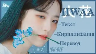 (G)I-DLE – HWAA (Текст + Кириллизация + Перевод) | lira