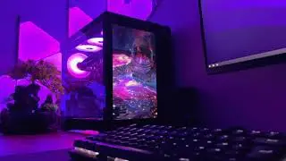 Lian Li O11 Dynamic Mini * Front Monitor Mod * 2021
