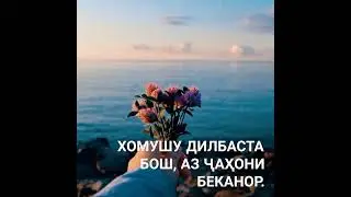 Чи шуд