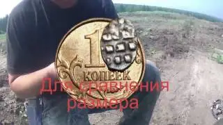Коп в Сибири.