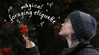 Witchy Foraging Etiquette: How to Forage as a Witch