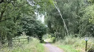 Pinkybelle's Adventures 🚴‍♀️🚴‍♂️ On the Track