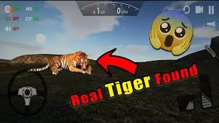 Ultimate Car Driving Simulator : Real Tiger Found