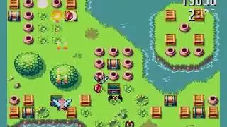 Flight of Pigarus - Sega Master System homebrew STG