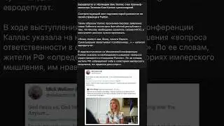 Евродепутат от Ирландии Мик Уоллес счел премьер-министра Эстонии Каю Каллас сумасшедшей.