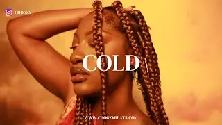 [FREE] TEMS X OMAH LAY X BUJU TYPE BEAT - "Cold"