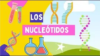 Los Ácidos Nucleicos y Los Nucleótidos