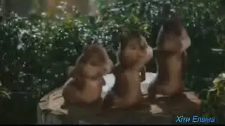 Бурундуки  поют медузу