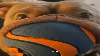 HUGE MEMES for BIG GREEDY MEN
