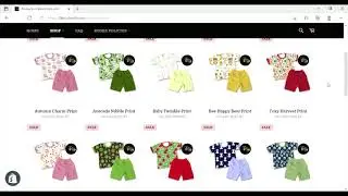 Here’s a Sneak Peek at the Website! Preorder Launching Today at 12:00AM!