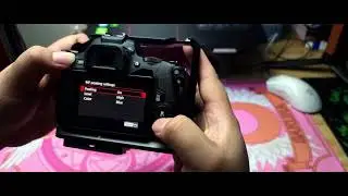 Canon Focus Peaking with SL3/250D