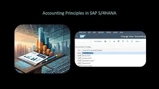 How to define ACCOUNTING PRINCIPLES in SAP S/4HANA Finance