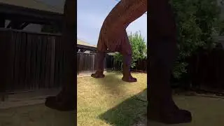There’s a T. rex in my backyard #jurassicpark #jurassicworld #dinosaur #jurassicworlddominion