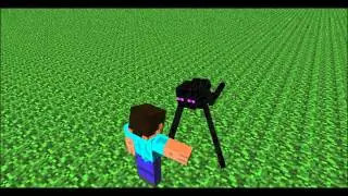 Enderman pet animation