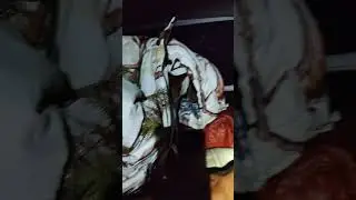 ГАЙ ОТДЫХАЕТ ОХОТА С СОБАКОЙ