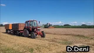 [2024] Gabona Aratás *D.Deni*