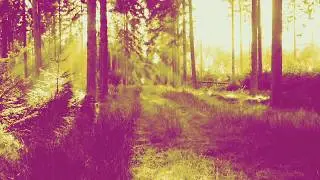 Pilgrims of the Mind - Deep Directions