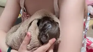 Растут масики 💗Заметно?