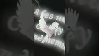 24 июля 2022 г.